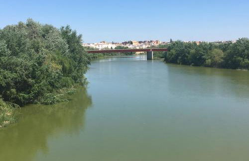 La Condesa de Vallellano - Foto 32