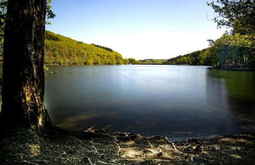 Haus Astenblick in Winterberg für bis zu 35 Personen für Wanderveranstaltungen und Familienfeiern - Foto 25