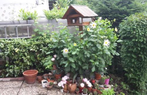 Apartment Haus Wiesental by Interhome - Foto 10