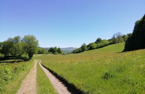 Maison à la campagne au cœur du Cantal dept 15 - Foto 12
