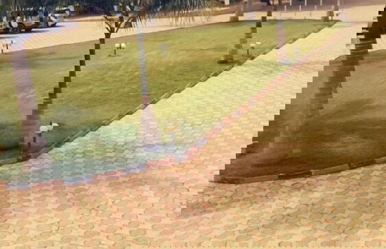 Naf Apartments - Mtwara - Photo 48