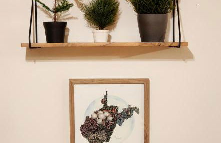 The Davis Ridge - Photo 27