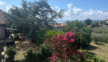 Come a Casa SLN - Foto 3, Garden, Garden view