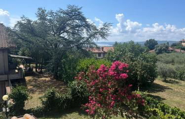 Come a Casa SLN - Foto 3