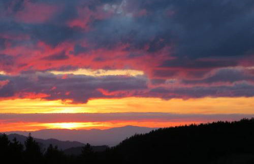Ferienhaus Vogelsang - Foto 41