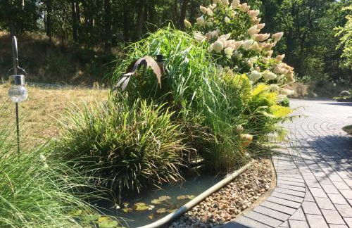 Güneitzblick - Foto 14