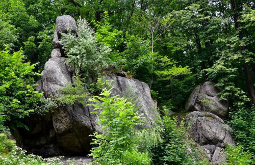 Wilcza Gajowka - Foto 10