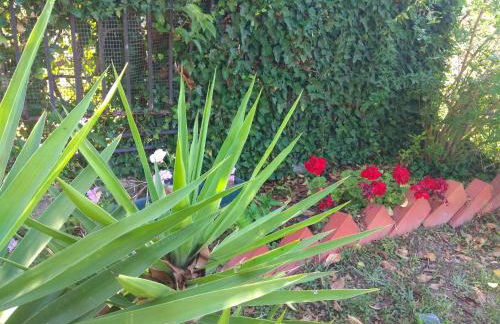 Olive mare Holidays - Foto 24