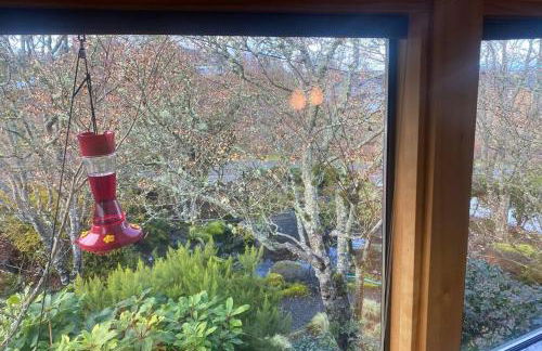 Crash Pad Bed and Breakfast - Foto 26