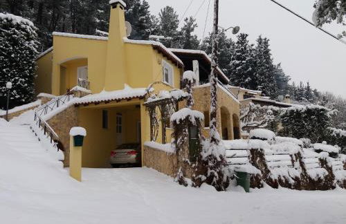 Six Steps From The Forest - Photo 30