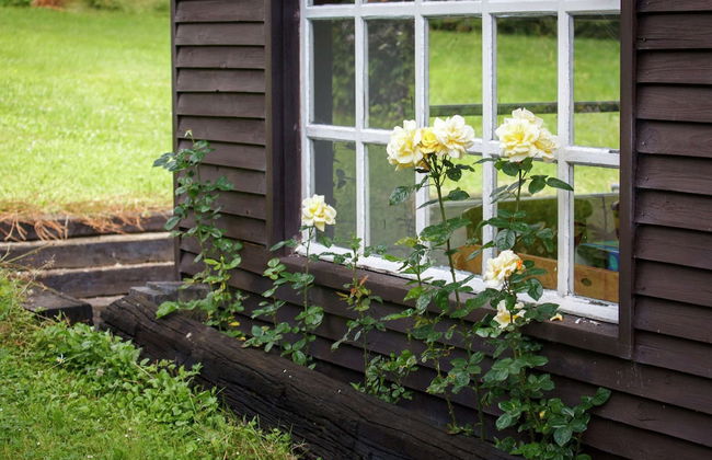 Accessible Stay in Nature - Foto 35