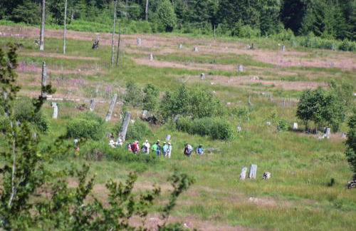 fewogriebelschied - Foto 59