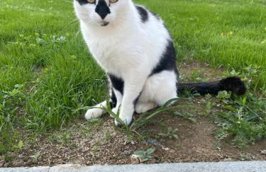 Gite du Douet de moulagny - Photo 40