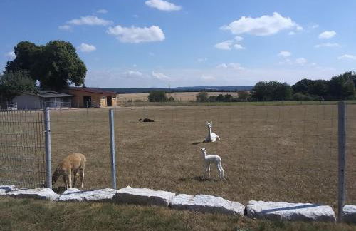 Auszeit-Räumlichkeiten - Foto 15