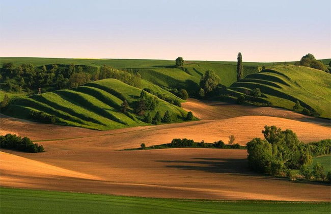 Relaxing Forest Escape With BBQ - Foto 36