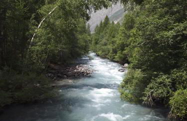 LES ECRINS - Foto 19