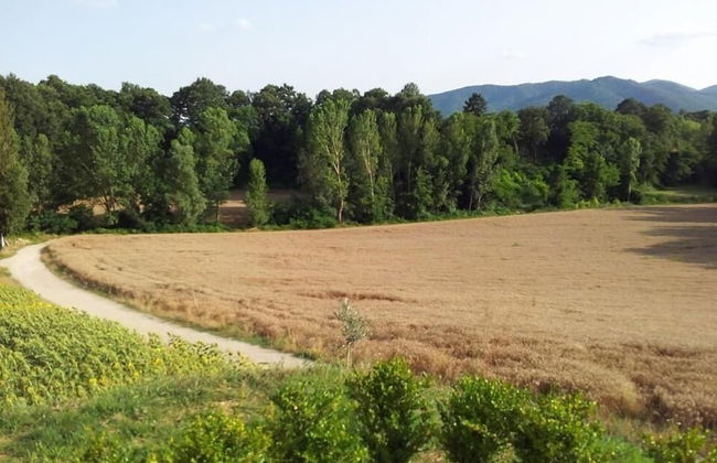 Agriturismo La Collina del Sole - Foto 28