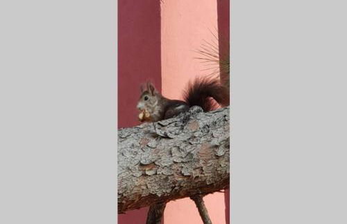 La Muralla Roja - Photo 26