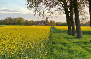 Ferienhof Ostarle - Foto 73