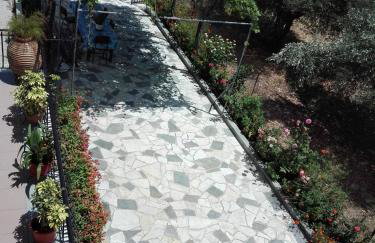 Toulatos Pantelis - Photo 36