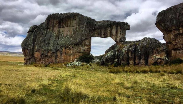 Excursión a Huayllay y La Calera - Foto 5, La Alpaca