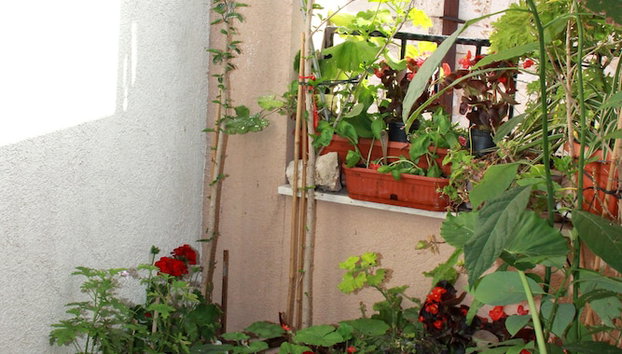 Apartment Bucevic - Photo 2, Primary image