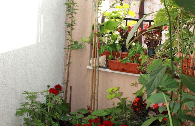 Apartment Bucevic - Foto 1