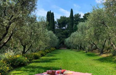 Fattoria di Magliano Winery - Foto 23