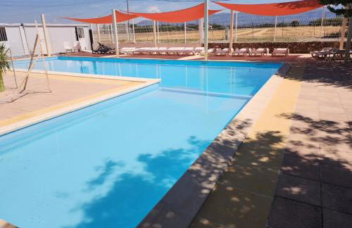 Salamandre - Foto 36