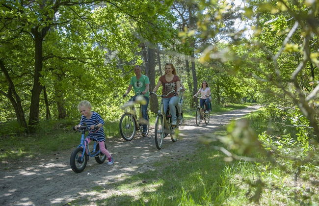 Charming Chalet in Borger - Photo 37