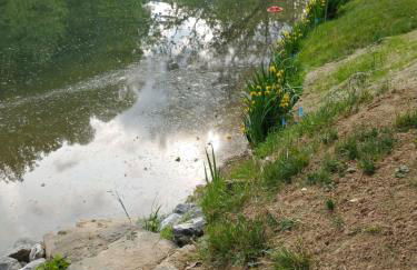 North River Inn - Foto 53