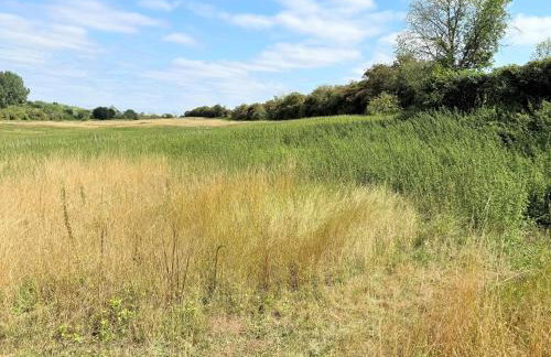 River House - Foto 43