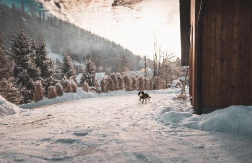 Rycerki Dom na Szlaku - Foto 4