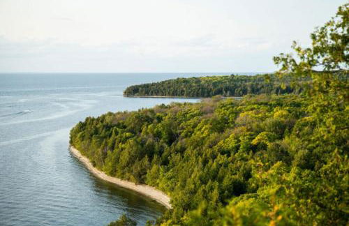Bird's Nest - Above Bakery Cozy Studio, Perfect for Couples! - Foto 22
