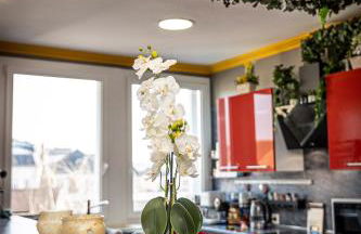 ArtistMemory Appartement - Foto 42