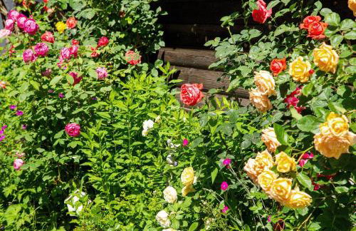 Orserose Chalet 1 La Bilancia - Foto 23