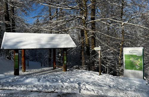 FeHaus Weltwald Harz - Foto 38