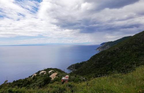 La notte sull'isola - Montaretto - tra il cielo e il mare - Foto 64