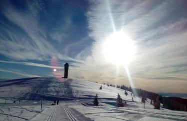 Landhotel und Apartments Sonneck - Photo 16