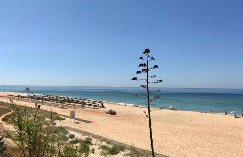 Casa Martim - Foto 50