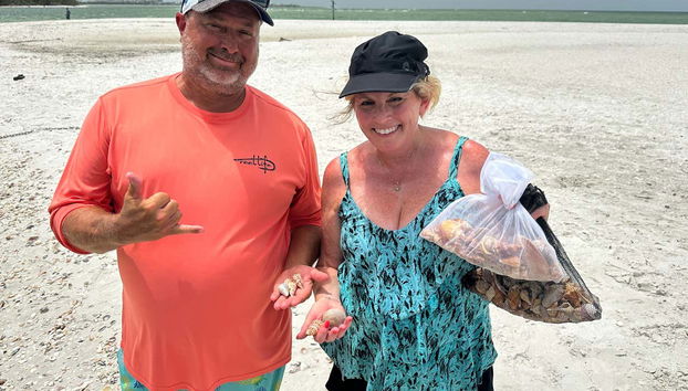 Le conchiglie della spiaggia