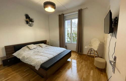 Vittel, Appt 55 m2, en face du parc Thermal - Foto 5