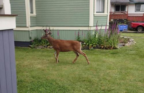 Grand Hideaway - King Bed! - Foto 22