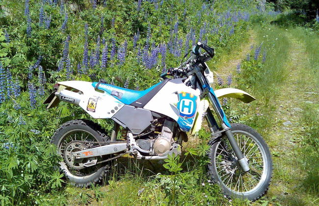 David Suiten - Foto 44