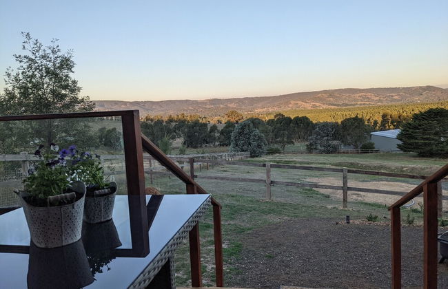 Maple Park - Foto 10