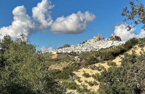 Casita Higo - Foto 7