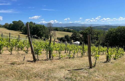 Luxury 1-bedroom house with the pool in Tuscany. - Foto 33