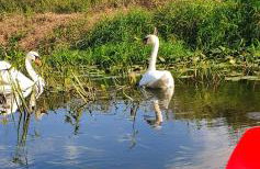 Apartamenty przy Obrze - Foto 12