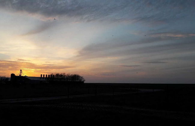 Ferienhof Schild - Foto 77