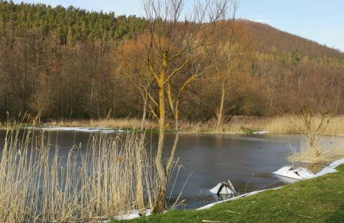 (H)Auszeit - Foto 17